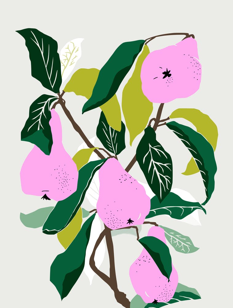 Pears in pink