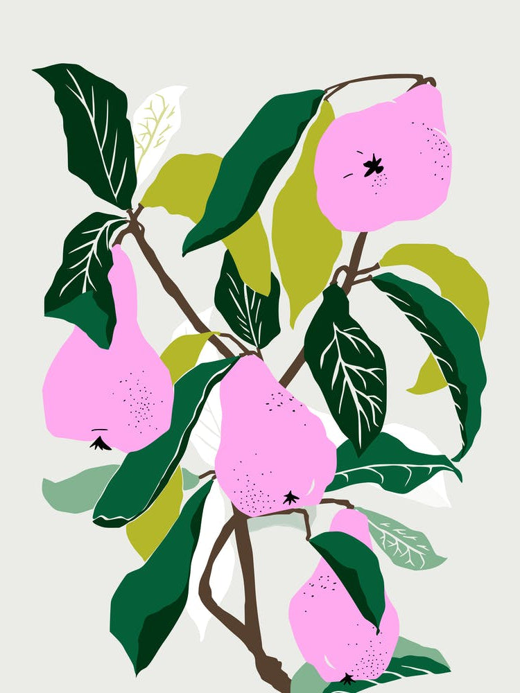 Pears in pink