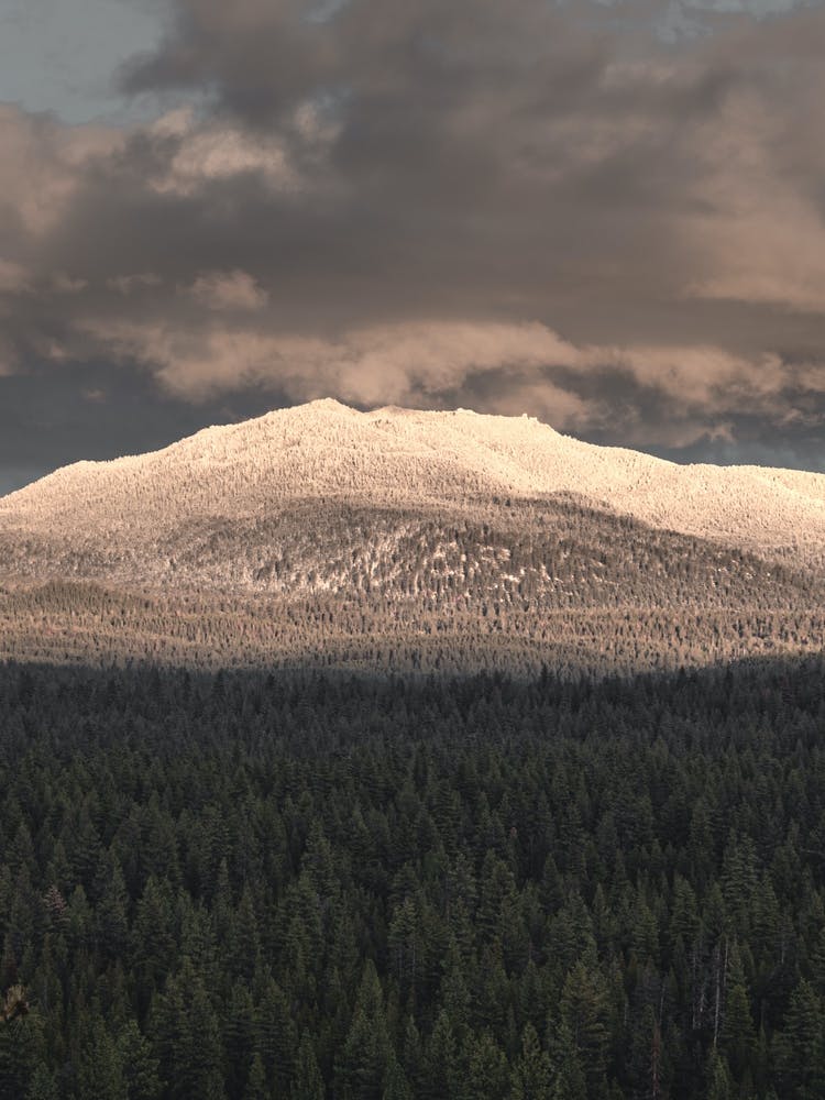 Snowy Mountain Wall Decor