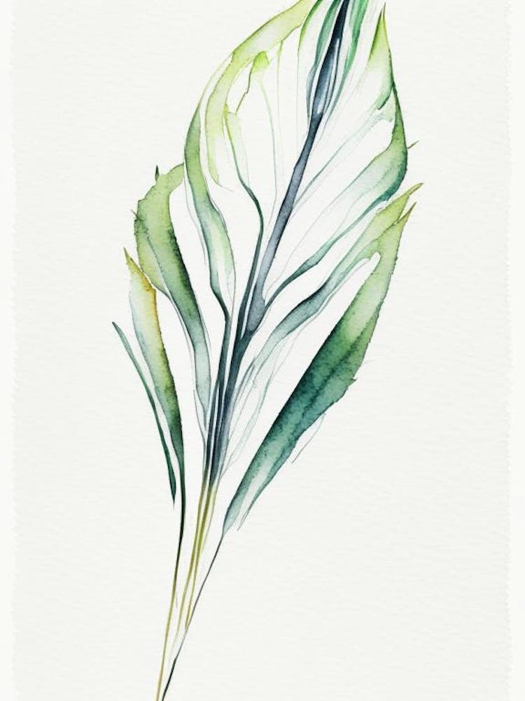 Yucca Leaf Minimalist Watercolour 2