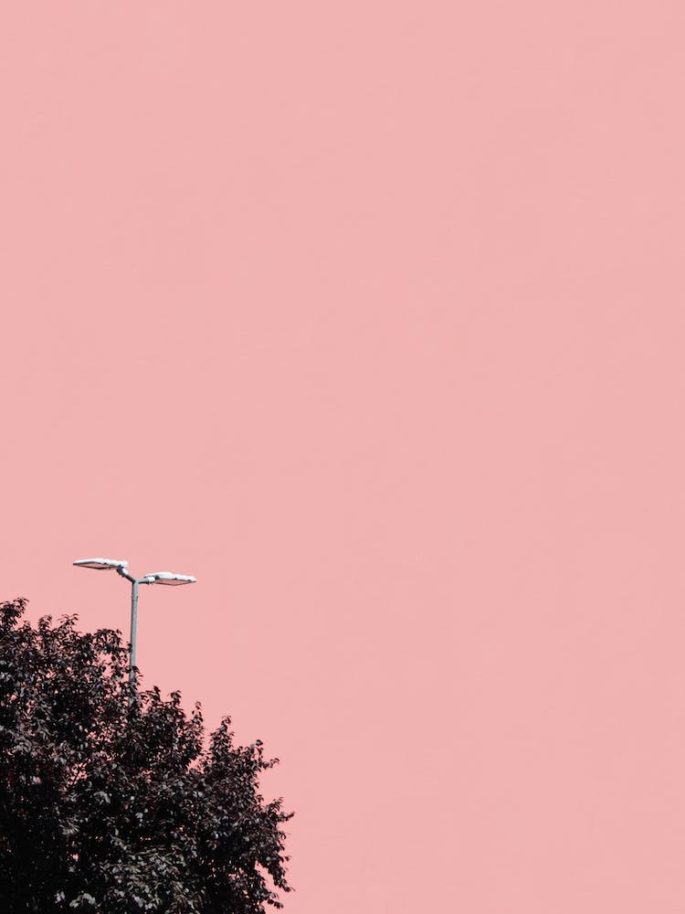 Hiding