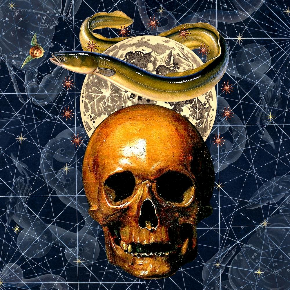 Skull And Snake