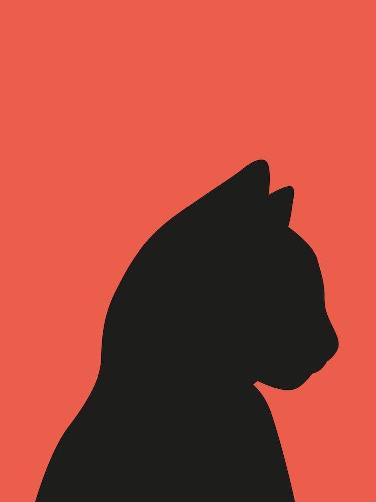 Feline