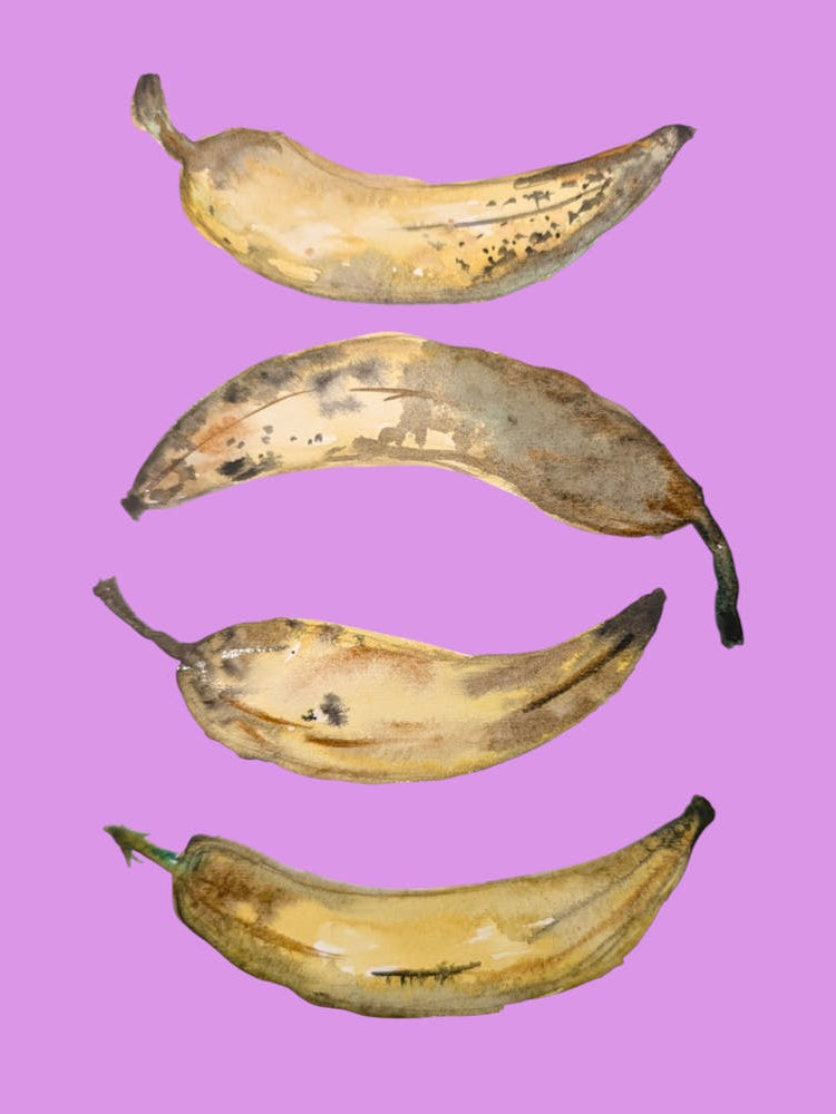 Bananas Purple Watercolour Illustration Kitchen