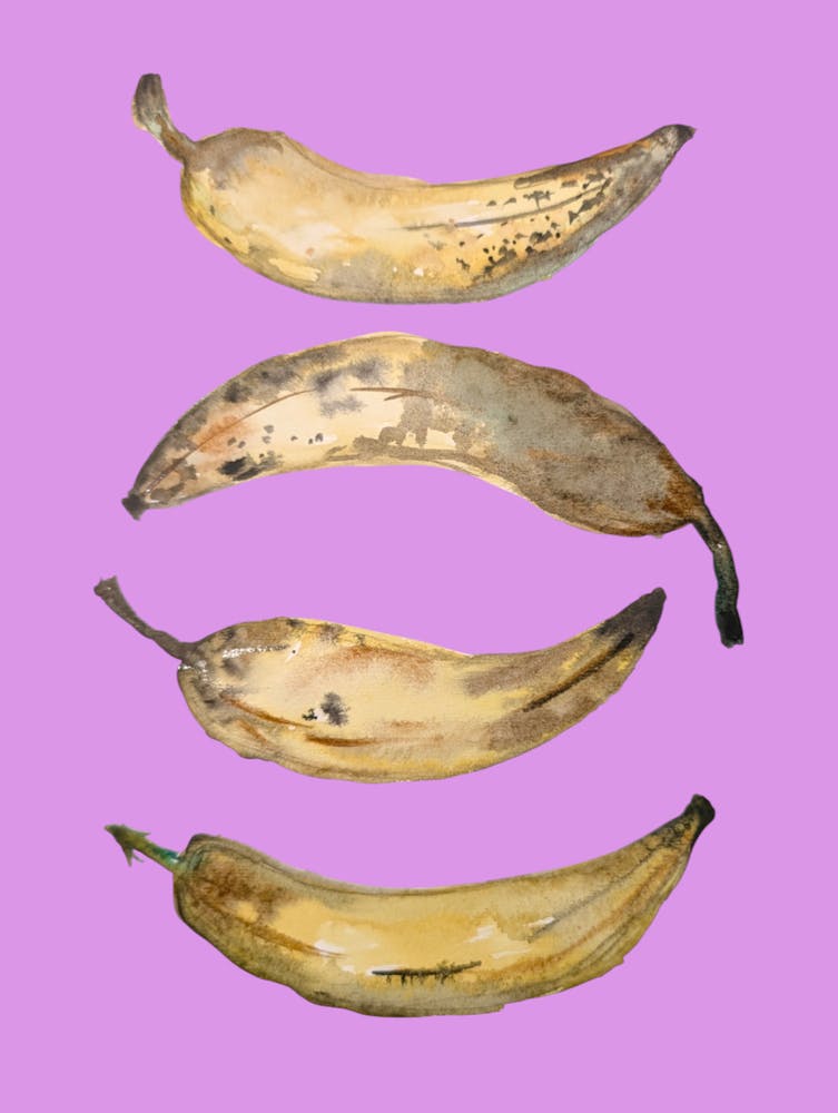 Bananas Purple Watercolour Illustration Kitchen