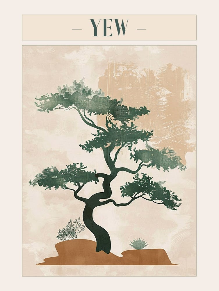 Yew Tree Minimal Japandi Illustration 2 Poster