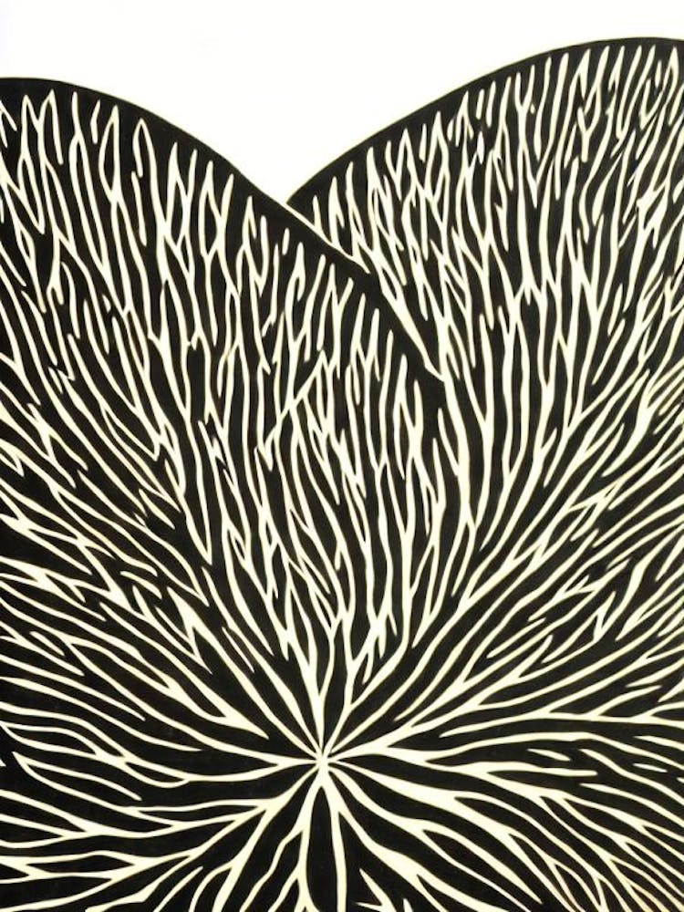 Acropora Vaughani Linogravure