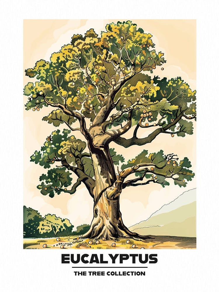 Eucalyptus Tree Storybook Illustration 3 Poster