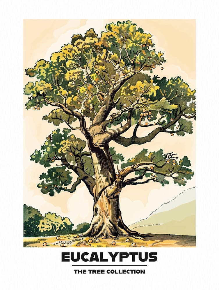 Eucalyptus Tree Storybook Illustration 3 Poster