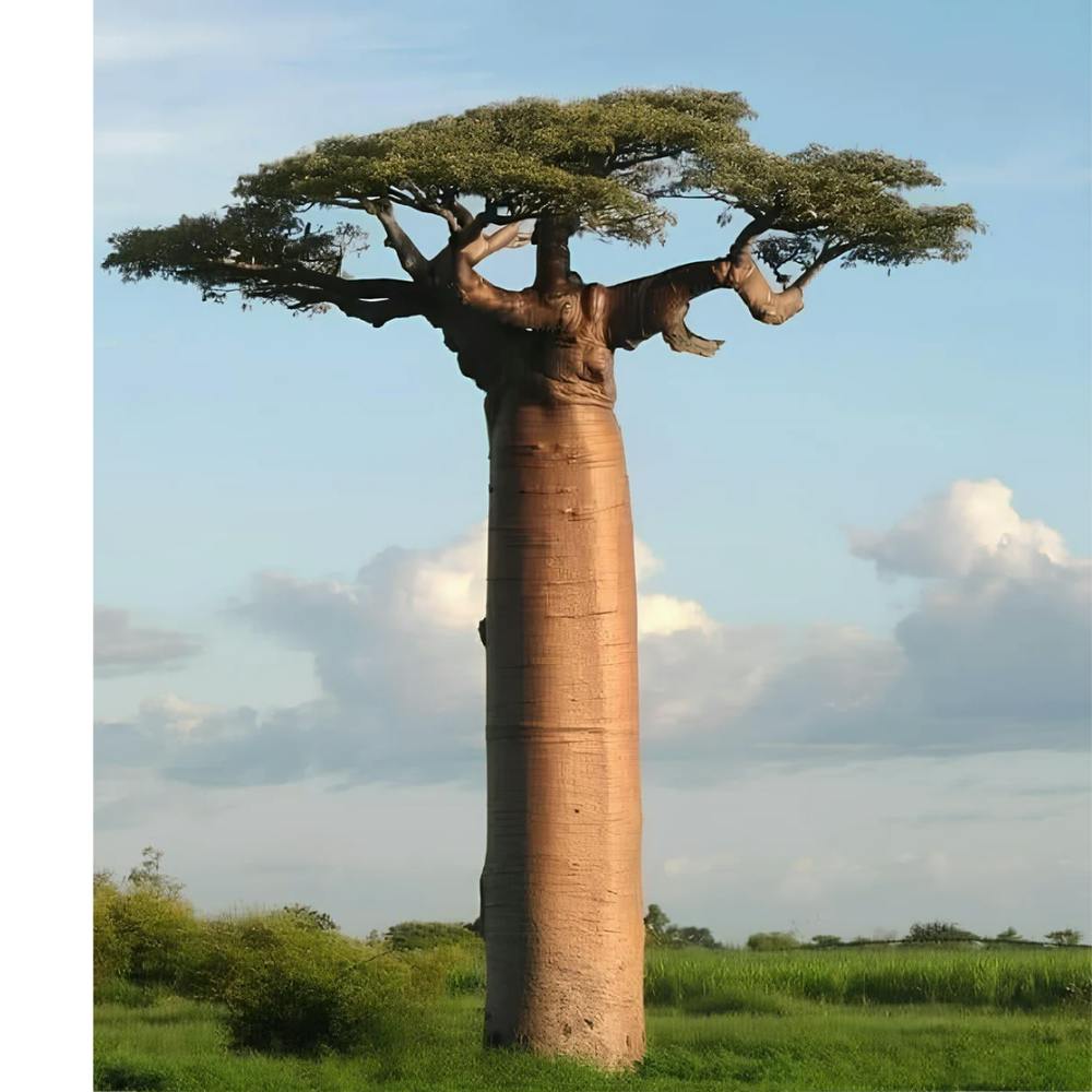 20240104 015506 ٠٠٠٠