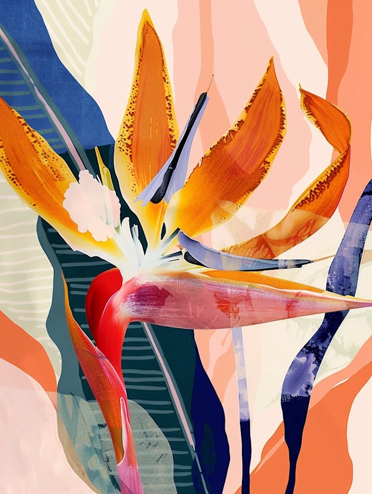 Colourful Flower Illustration Bird Of Paradise 1