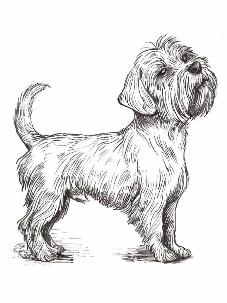 Dandie Dinmont Terrier Dog Line Sketch 3