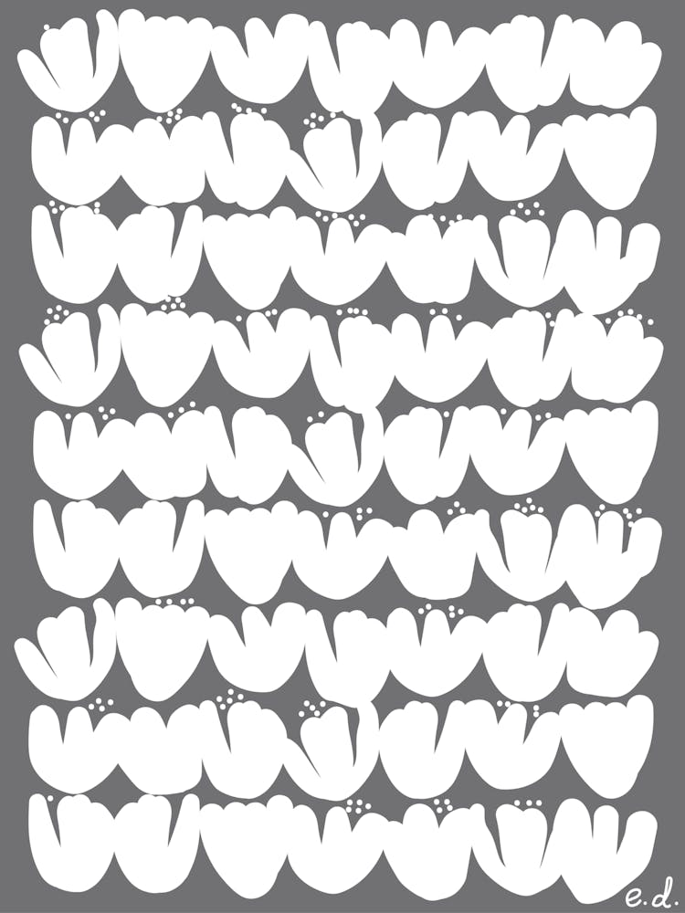 Tulips Print Cracked Pepper