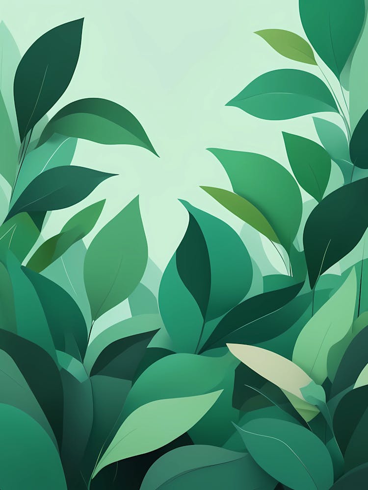 Green Leaves In The Forest