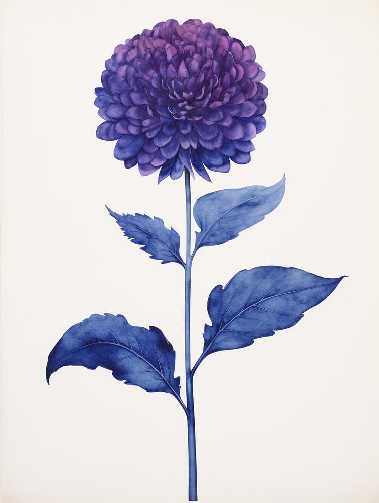 Blue Botanical Globe Amaranth 2