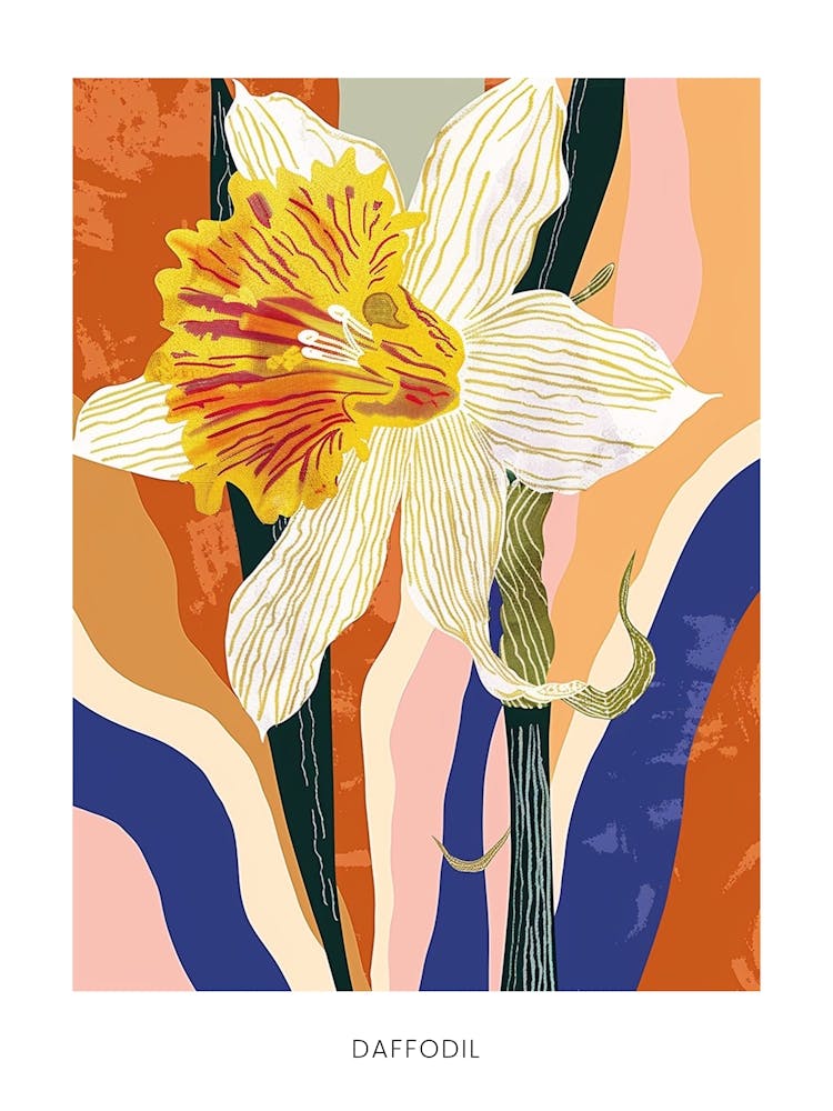 Colourful Flower Illustration Poster Daffodil 1