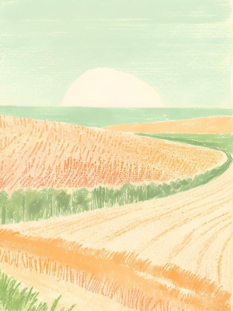 Field Of Wheat