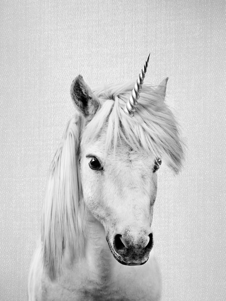 Unicorn - Black & White