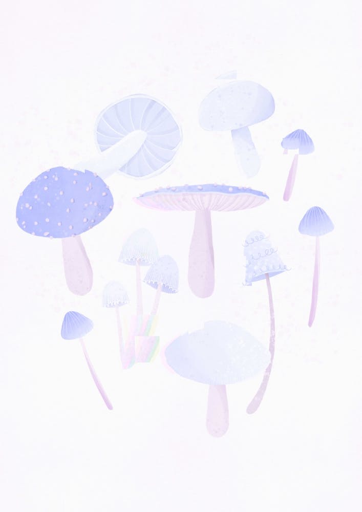 Lilac Mushrooms