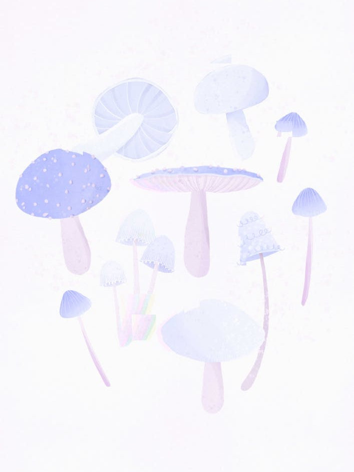 Lilac Mushrooms