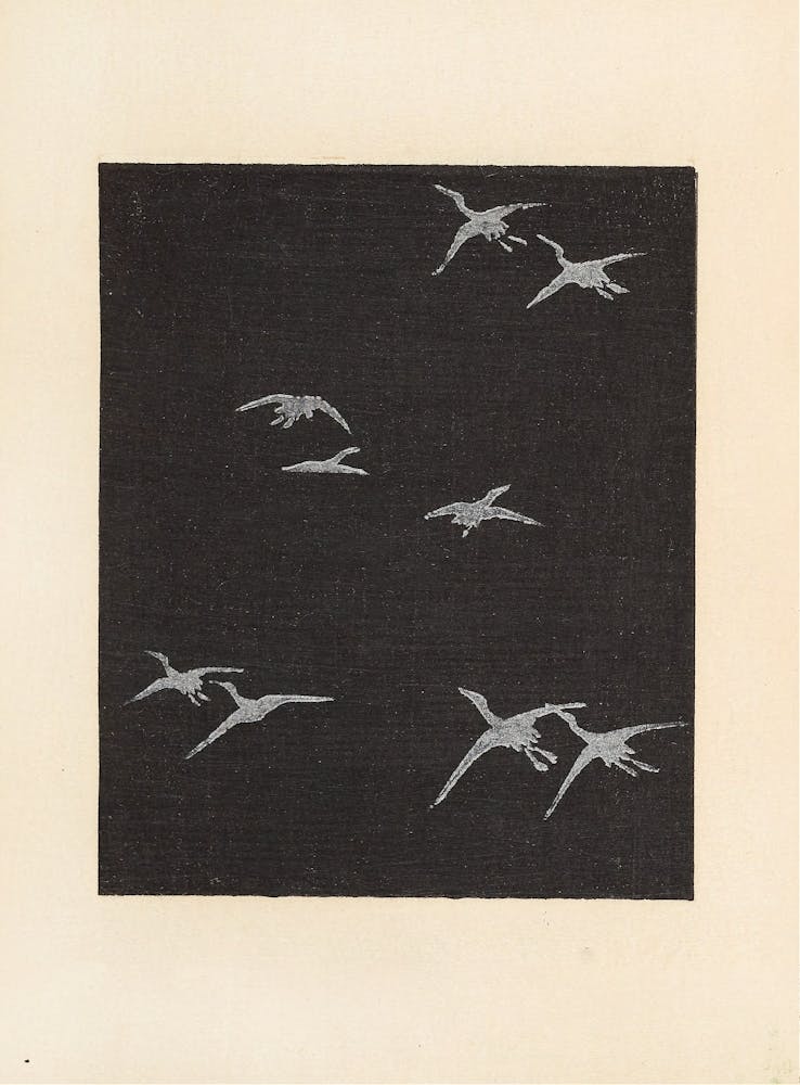 Birds In Flight 4