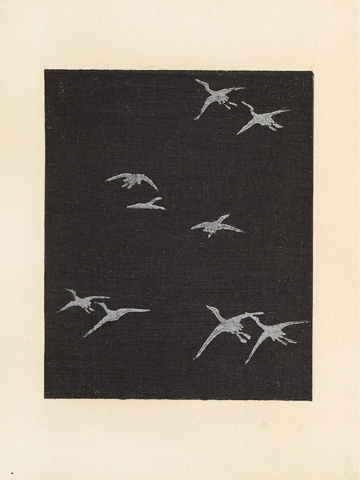 Birds In Flight 4