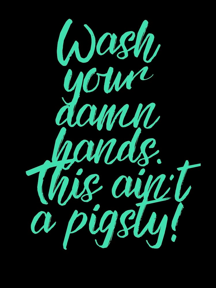 Wash Your Damn Hands This Ain'T A Pigsty