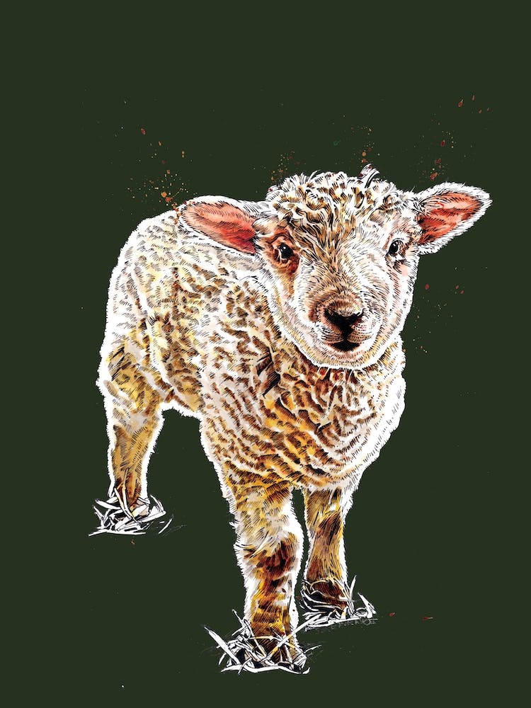 L'Agneau Sur Vert Forêt