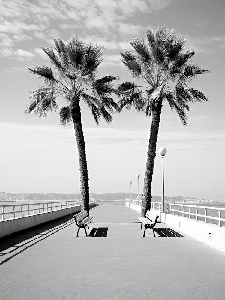 Cannes, France, Photography In Black And White 4