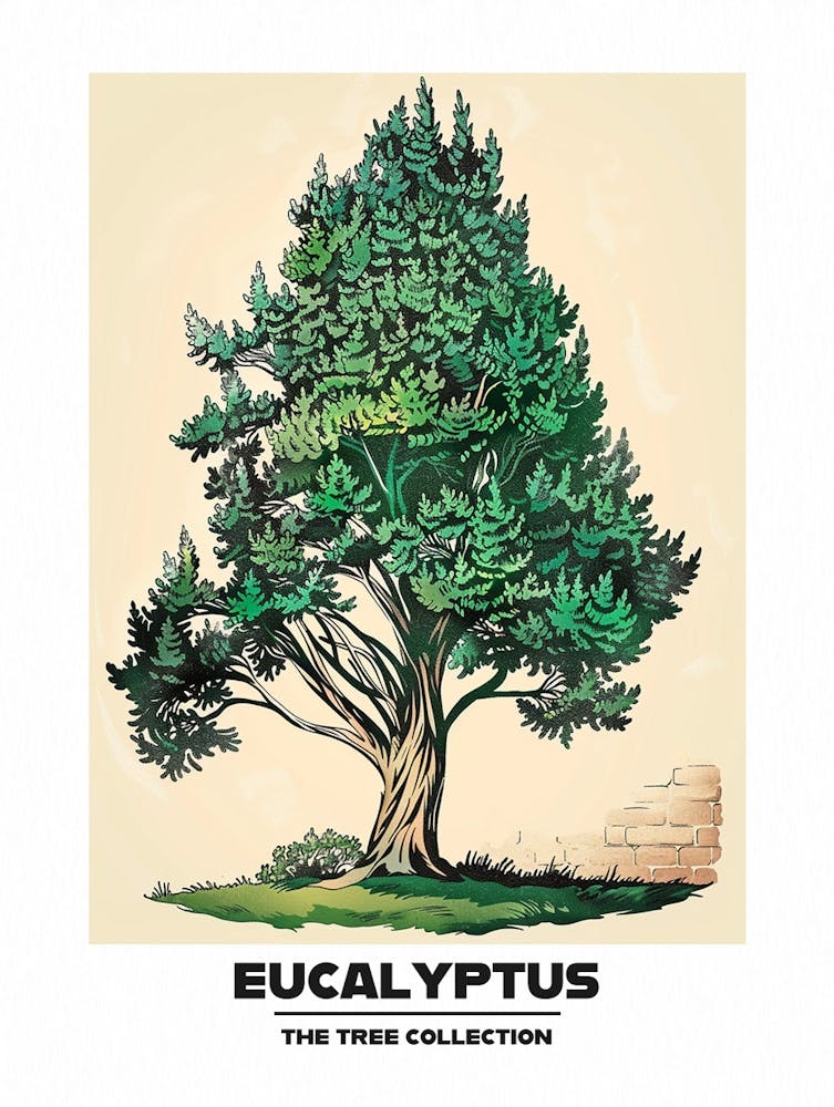Eucalyptus Tree Storybook Illustration 4 Poster