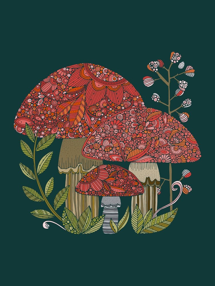 Mushrooms - dark background