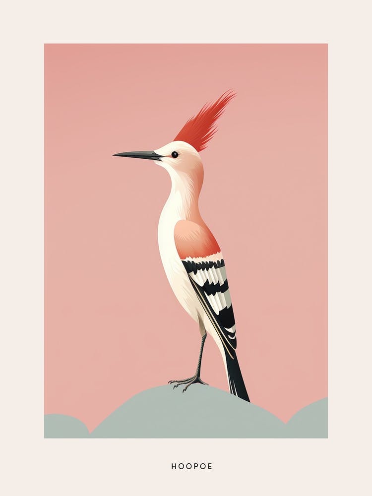 Huppe fasciée minimaliste 3 Affiche d'oiseau
