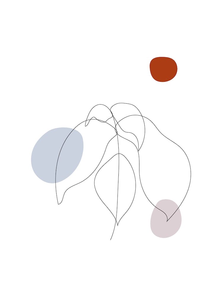 Talking About Botany Iv