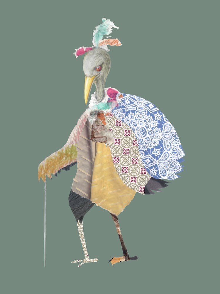 Fashion Bird