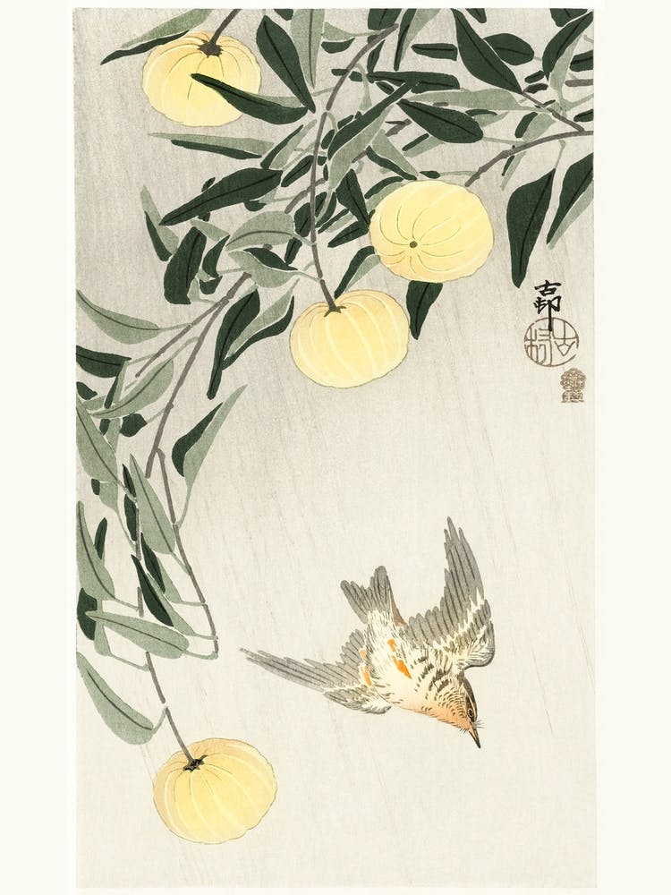 Cuckoo In The Rain (1900 1910), Ohara Koson