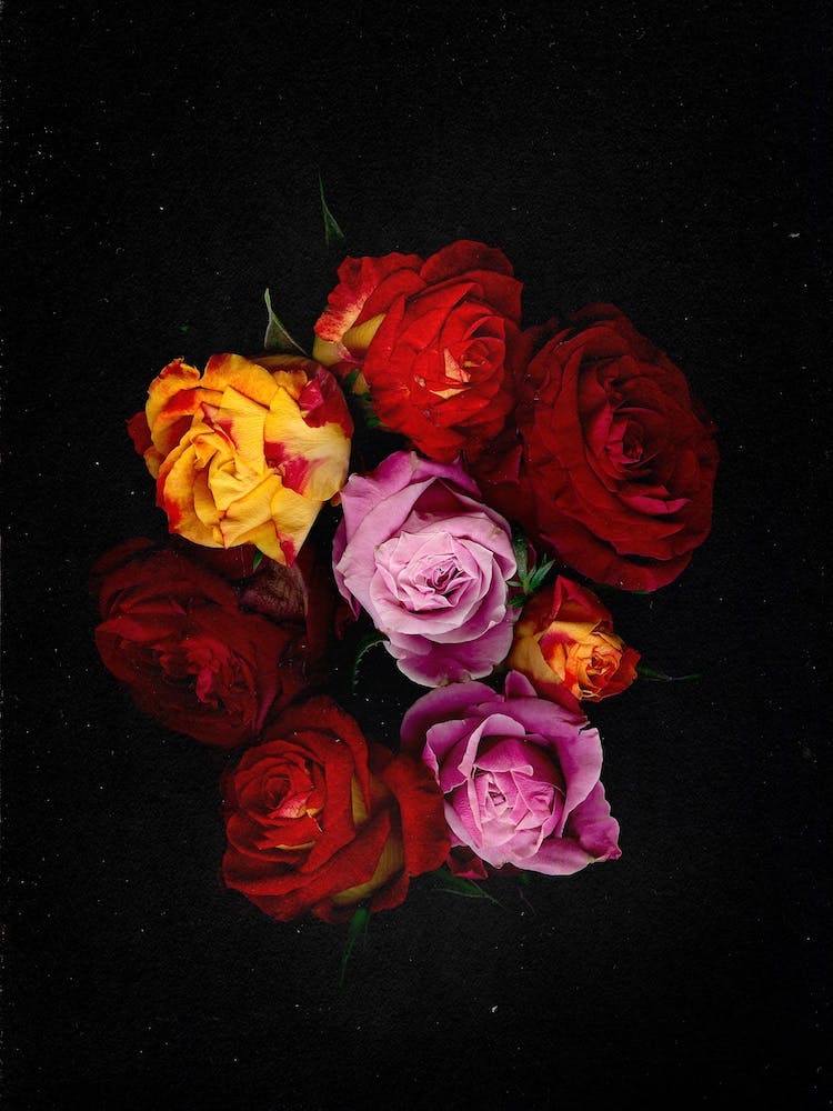 Flower Studies 14