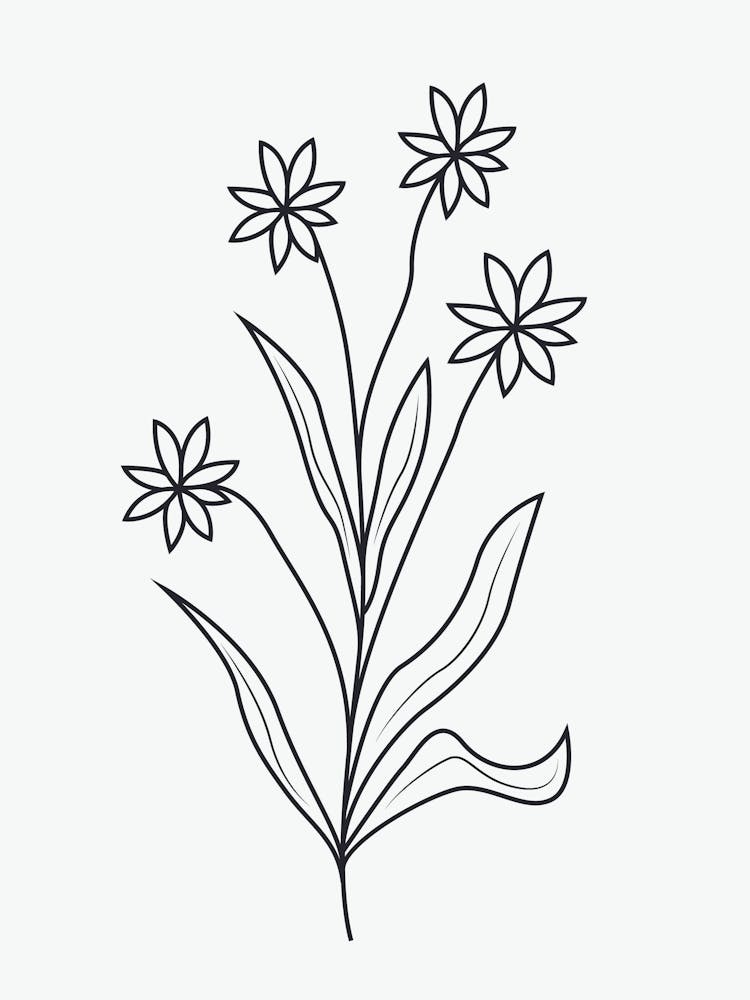 Line Drawing Of Flowers 1