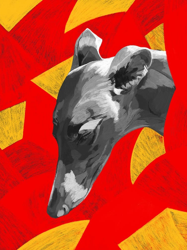 Greyhound Dog Yellow Red