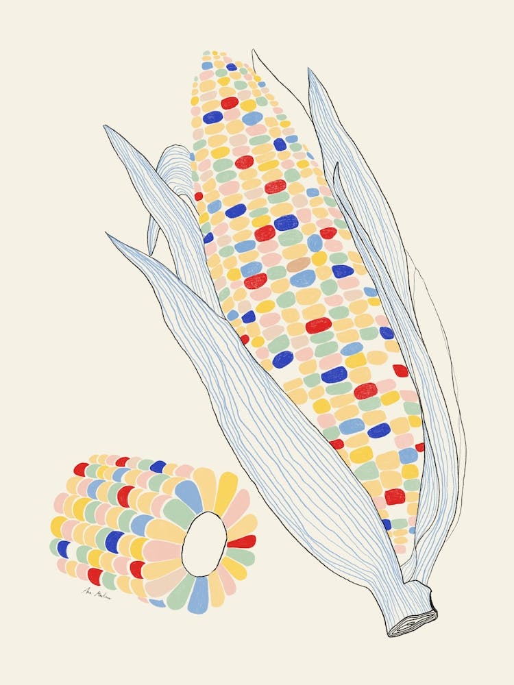 Corn On The Cob