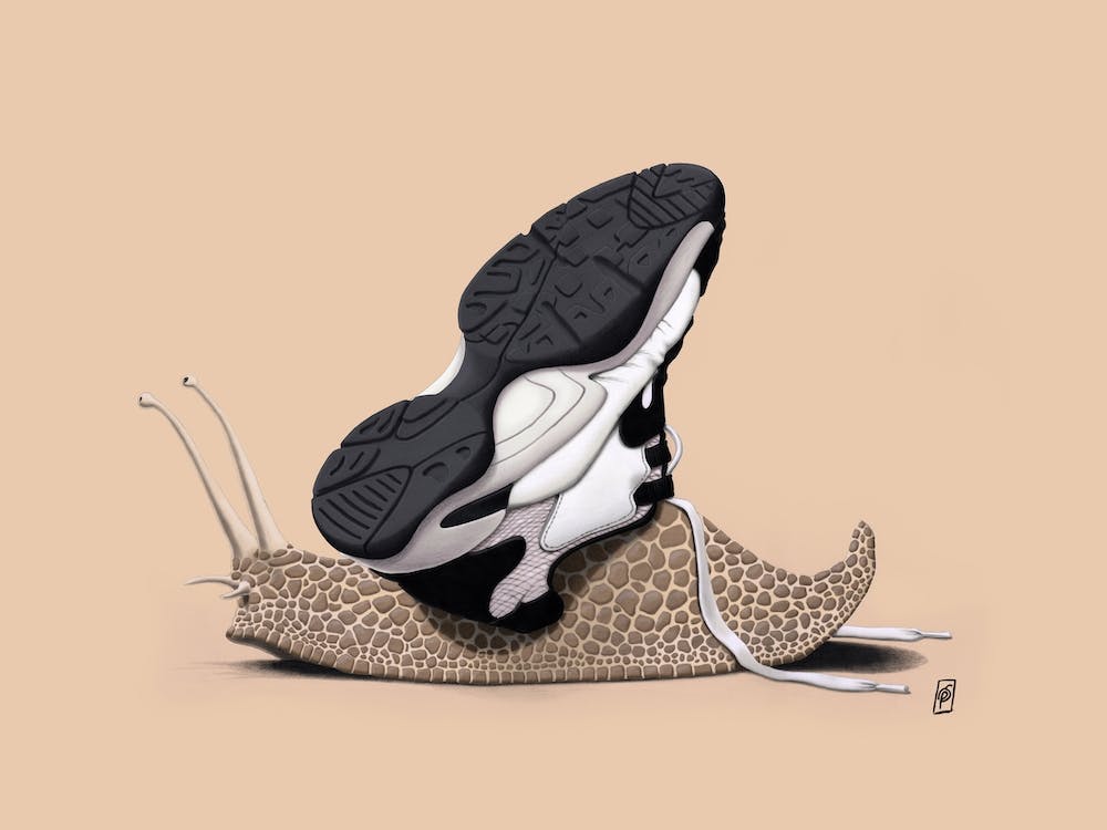 The Sneaker (Colour)