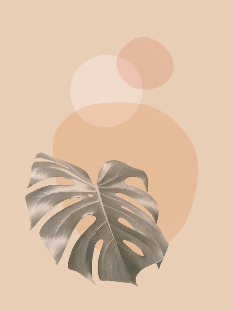 Harmonious floral composition 6