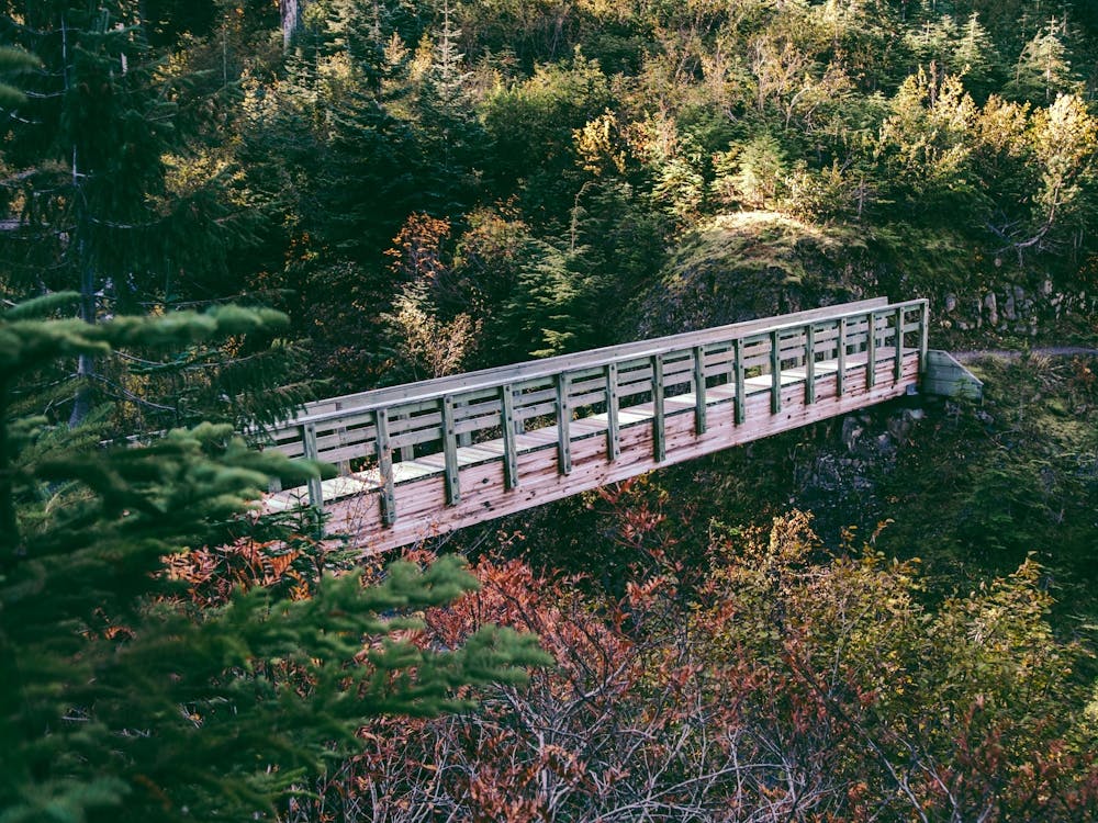 Traversée de forêt