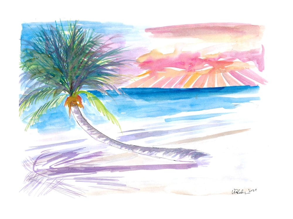 Leaning Palm For Relaxing In The Caribbean