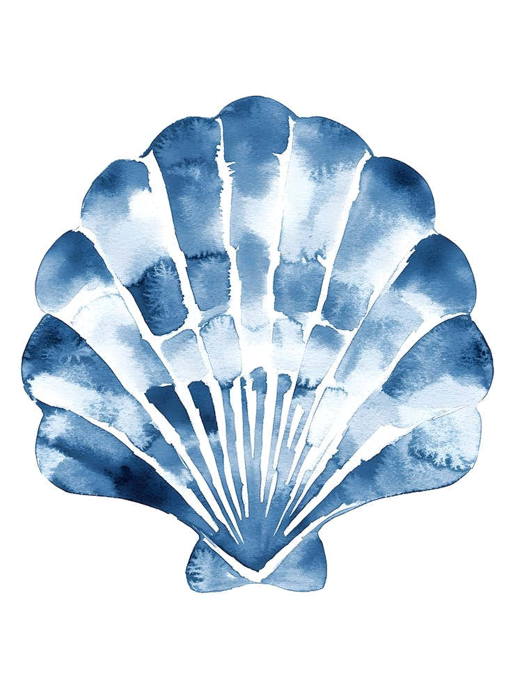 Watercolor Seashell