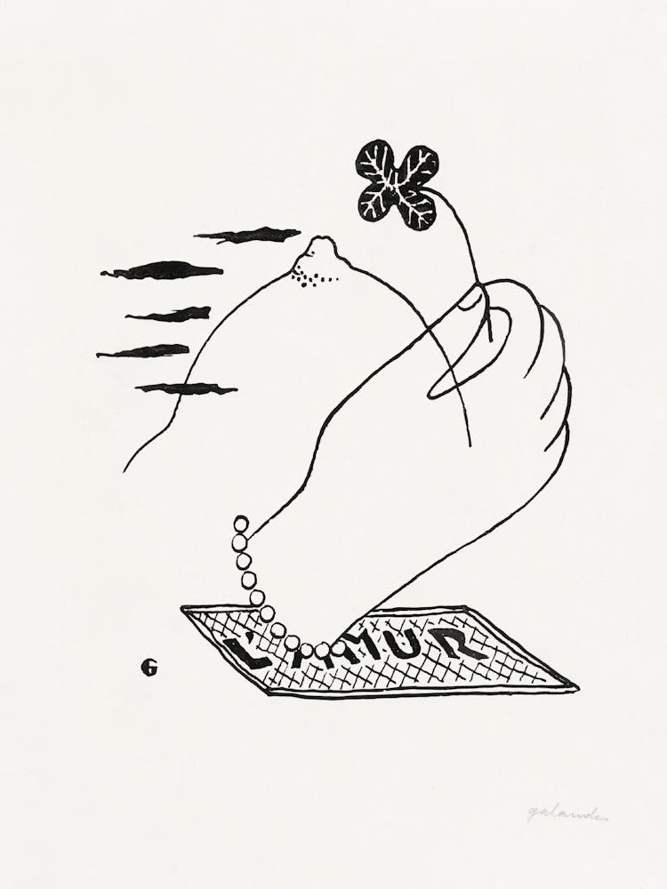 Volcano, Mikuláš Galanda