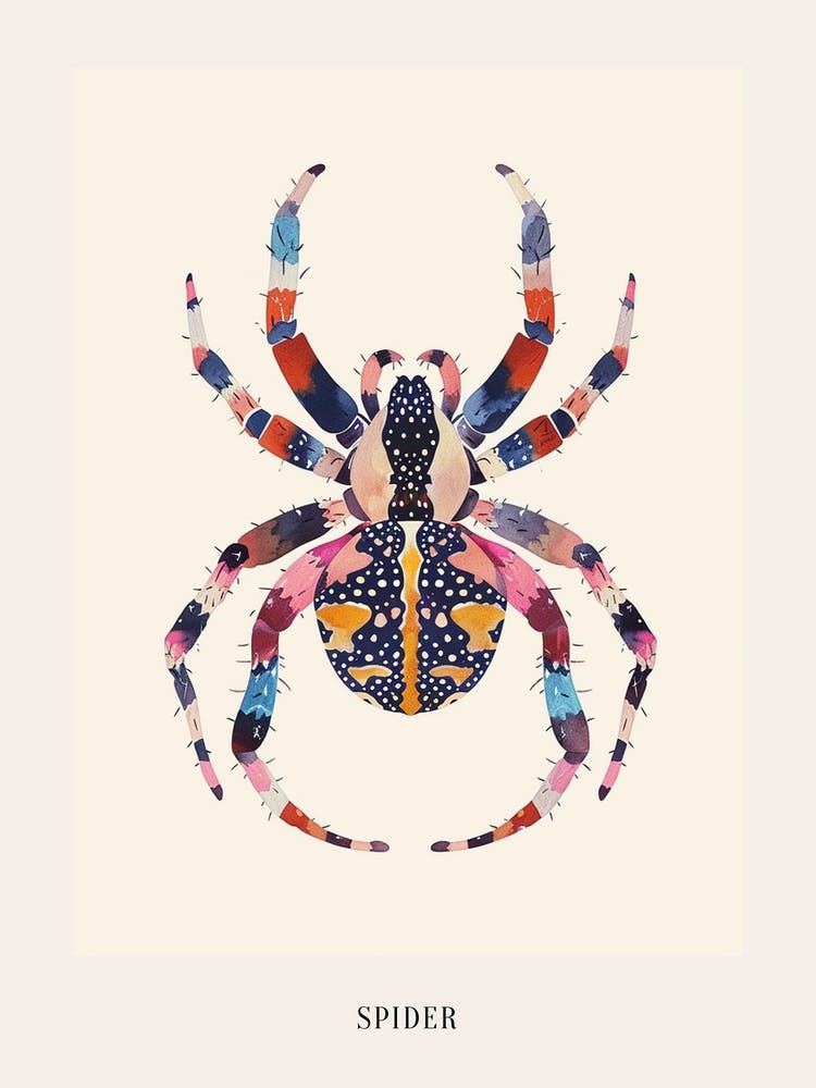 Colourful Insect Illustration Spider 15 Poster