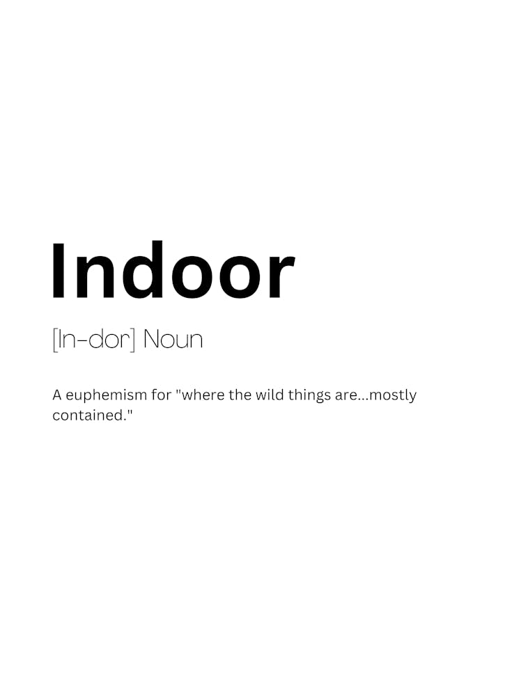 Indoor Definition Meaning