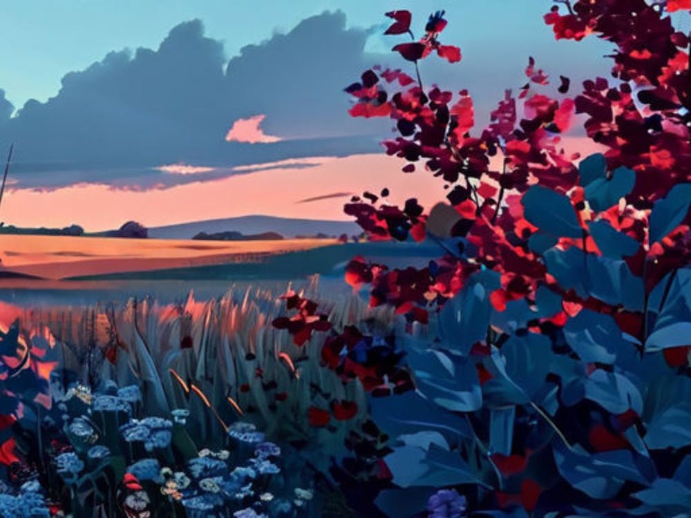 Sunset In The Field 2