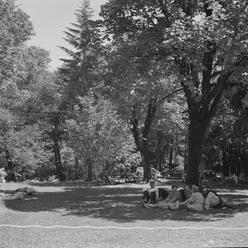 Willamette National Forest, Belknap Springs, Oregon, Picnickers By Russell Lee