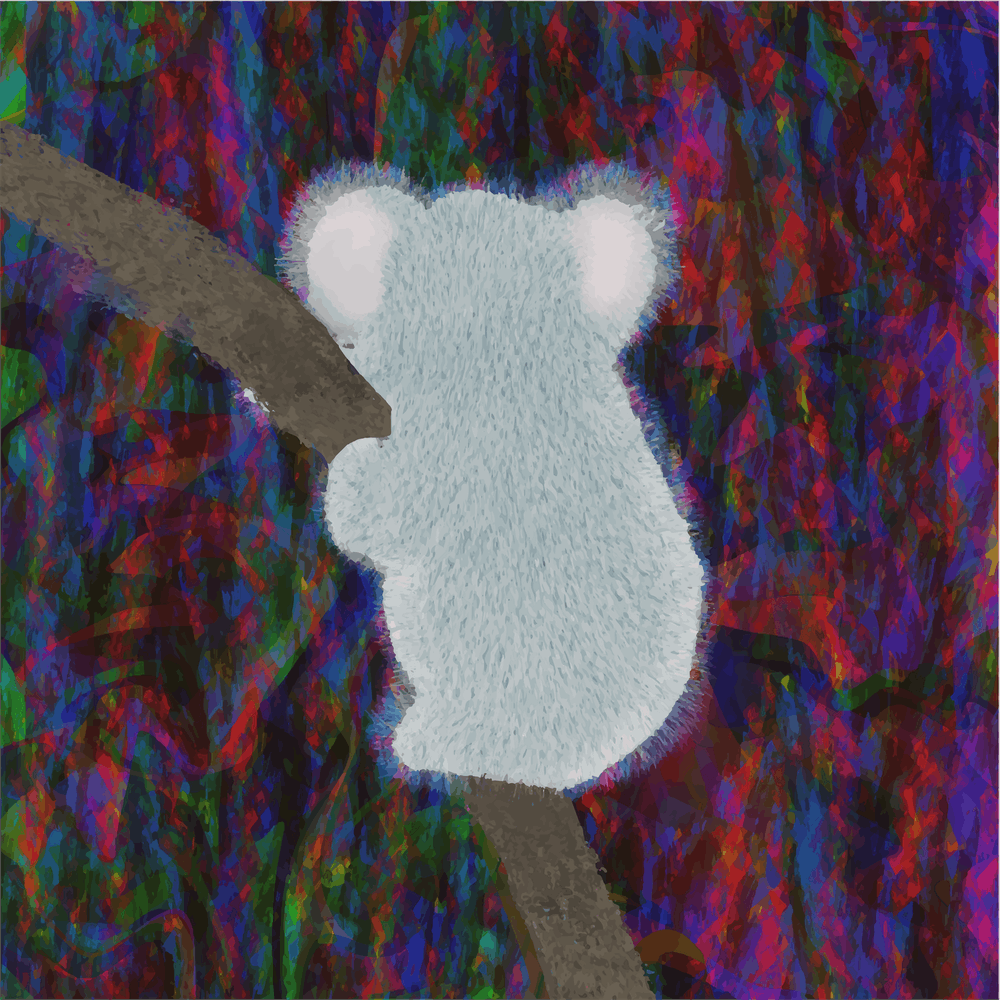 kool koala